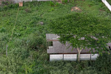 Bir kulübesi olan terk edilmiş bir yerin havadan görüntüsü.