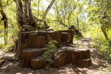 Cassilandia, Mato Grosso do Sul, Brezilya - 01 26 2024: doğayla iç içe Salto Rio Apore turizm merkezinin dışında