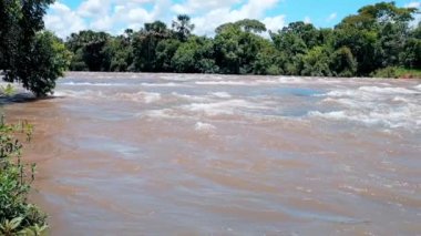 Brezilya 'nın Goias ve Mato Grosso do Sul eyaletleri arasındaki Apore nehrinin suları