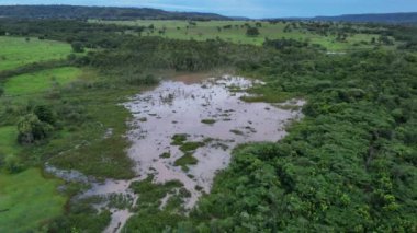 Itaja Goias 'taki Ribeirao Sao Joao deresinde küçük bir bataklık.