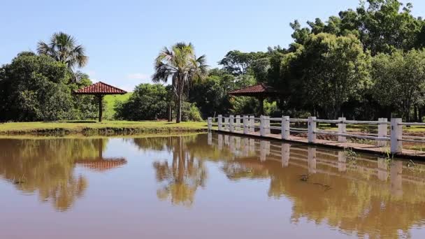 Cassilandia Mato Grosso Sul Brasil 2024 Assinar Português Respeitando Regras — Vídeo de Stock