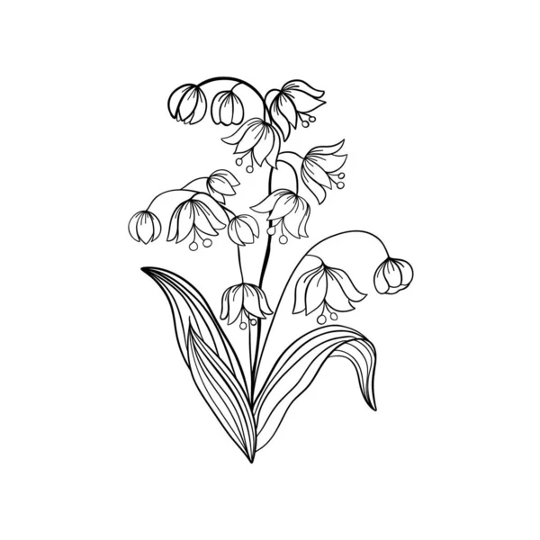 Bell Flowers Campanula Ilustração Vetorial Desenhada Mão Linhas Pretas Flores —  Vetores de Stock
