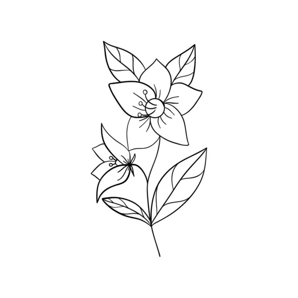 Tournesol Illustration Vectorielle Isolée Sur Fond Blanc Lignes Noires Fleurs — Image vectorielle
