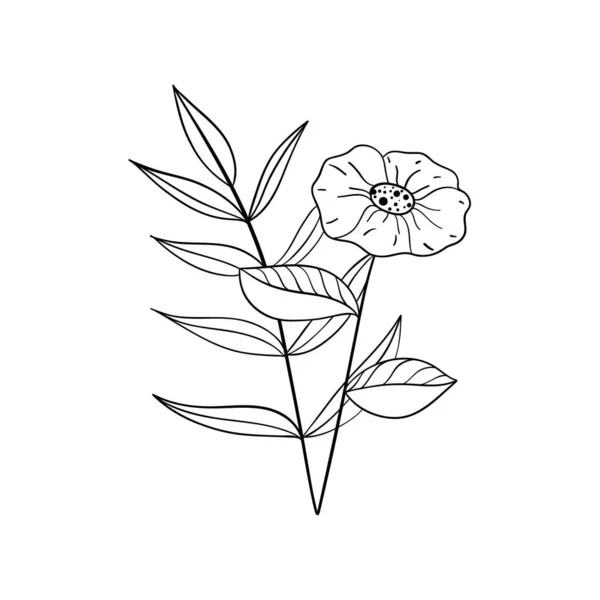 Ilustracja Wektora Odizolowana Białym Tle Czarna Linia Ikony Kwiatów Zestaw — Wektor stockowy
