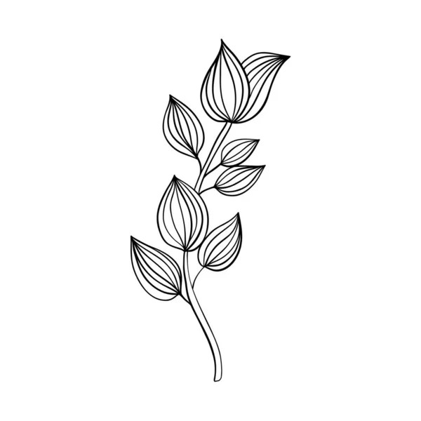 Vektor Illustration Isoliert Auf Weißem Hintergrund Schwarze Linien Blumen Symbole — Stockvektor