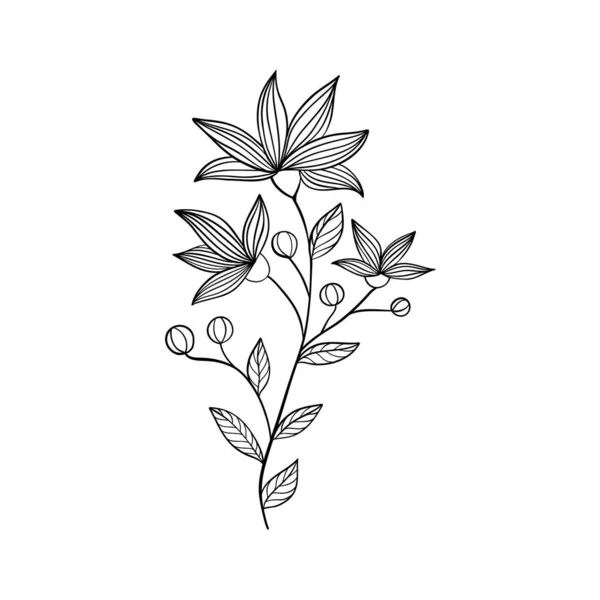 Vektor Illustration Isoliert Auf Weißem Hintergrund Schwarze Linien Blumen Symbole — Stockvektor
