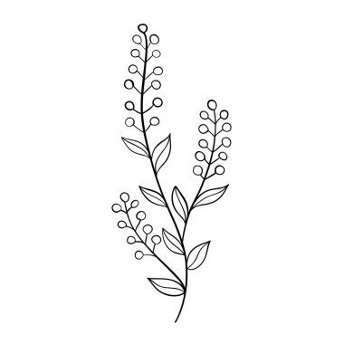 Lale çiçeği çizgisi. Minimalist taslak çizimi. Tek çizgi çizimi. Vektör izole çiçek elementleri.