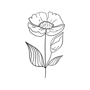 Beyaz arka planda siyah çim, çiçek ve otlardan oluşan siluetler. El çizimi, çiçekler ve böcekler..