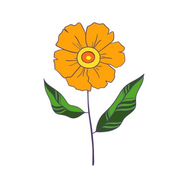 Beyaz arkaplanda bahar zamanı renkli Daisy çiçekleri