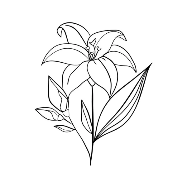 Svarta Silhuetter Gräs Blommor Och Örter Isolerade Vit Bakgrund Handritade — Stock vektor