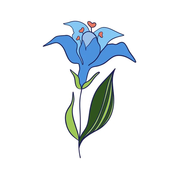 Flor Salvaje Plantas Herbales Florales Con Flores Azules Campo Delicado — Vector de stock