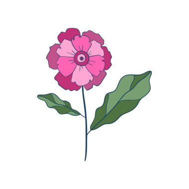 Yabani çiçek. Mavi çiçekli bitkiler. Narin tarlalar, kır çiçekleri ve otlar. Beyaz arka planda izole edilmiş narin yaz bitkisinin Botanik düz vektör çizimi