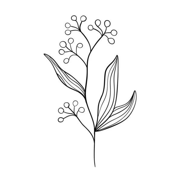 Schwarze Silhouetten Von Gras Blumen Und Kräutern Isoliert Auf Weißem — Stockvektor