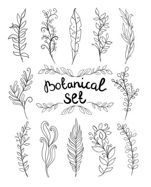 Moda çiçekleri ve logo ya da dekorasyon için minimalist çiçekler. El yapımı düğün otları, davetiye için zarif yapraklar. Randevu kartını sakla. Botanik kırsal trend yeşilliği