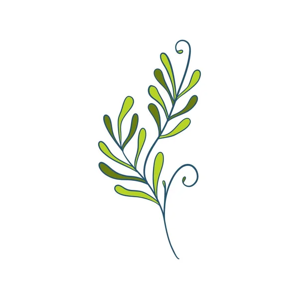 Green Sprig Rosemary Cartoon Style Isolated Vector Icon Graphic Element 图库矢量图片