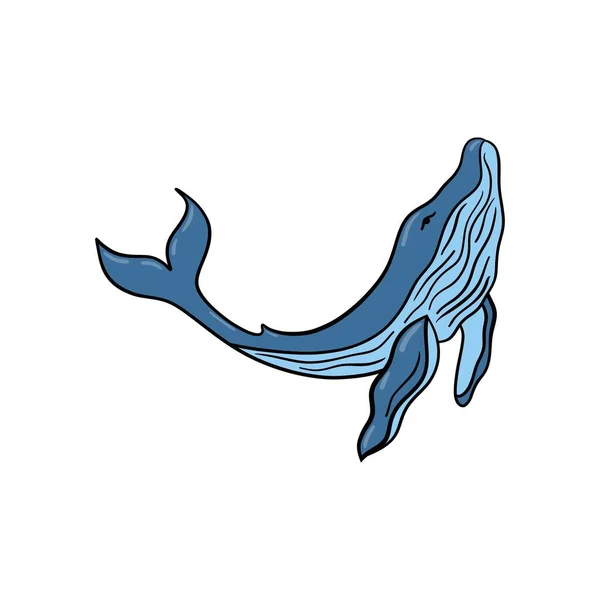 Vector Illustration Big Blue Ocean Cartoon Whale Design Element — Stock Vector