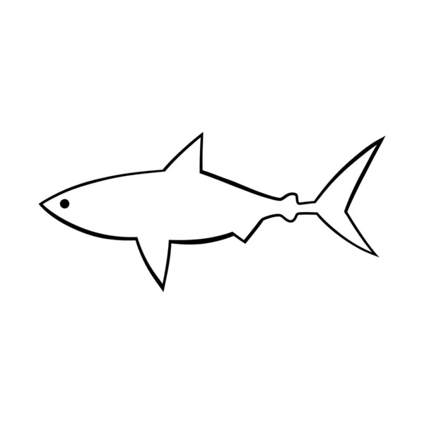 Shark Sketches Hand Drawn Illustration Converted Vector Isolated White Background — Stock Vector