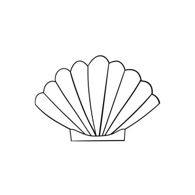 Tasarımınız için deniz kabuğu vektör çizimi