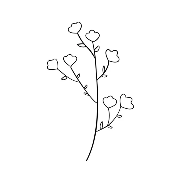 Czarne Sylwetki Trawy Kwiatów Ziół Izolowane Białym Tle Ręcznie Rysowane — Wektor stockowy
