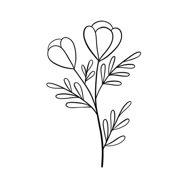 Schwarze Silhouetten Von Gras Blumen Und Kräutern Isoliert Auf Weißem — Stockvektor