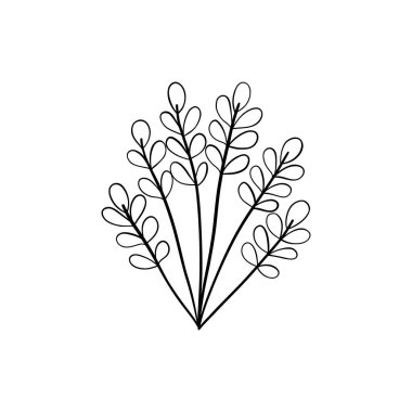 Botanik doğrusal yaprak. Soyut minimalist yapraklar koleksiyonu, yaratıcı bitkisel sanat. Vektör illüstrasyonu