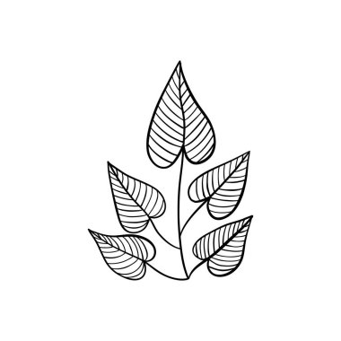 Botanik doğrusal yaprak. Soyut minimalist yapraklar koleksiyonu, yaratıcı bitkisel sanat. Vektör illüstrasyonu