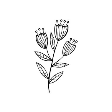 Botanik doğrusal yaprak. Soyut minimalist yapraklar koleksiyonu, yaratıcı bitkisel sanat. Vektör illüstrasyonu