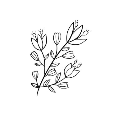 Botanik doğrusal yaprak. Soyut minimalist yapraklar koleksiyonu, yaratıcı bitkisel sanat. Vektör illüstrasyonu