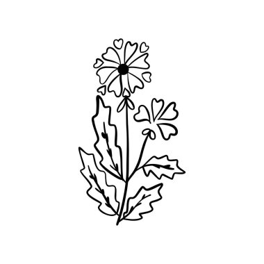 Botanik doğrusal yaprak. Soyut minimalist yapraklar koleksiyonu, yaratıcı bitkisel sanat. Vektör illüstrasyonu