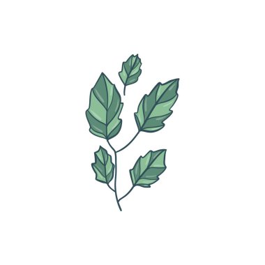 Siluet yapraklı yeşil kıvrımlı filizler. Beyaz üzerine izole edilmiş simge.
