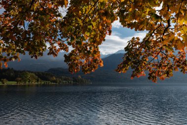 view of the beautiful autumn park on the lake with a lake in the background of the mountains 