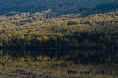 landscape with river and forest on a background of blue sky with trees and mountains, lake in autumn.