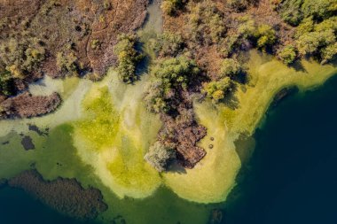 beautiful aerial drone shot of Lake Bohinj, Autumn in Slovenia