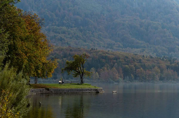 beautiful landscape of the lake in the mountains, Lake Bohinj, Slovenia
