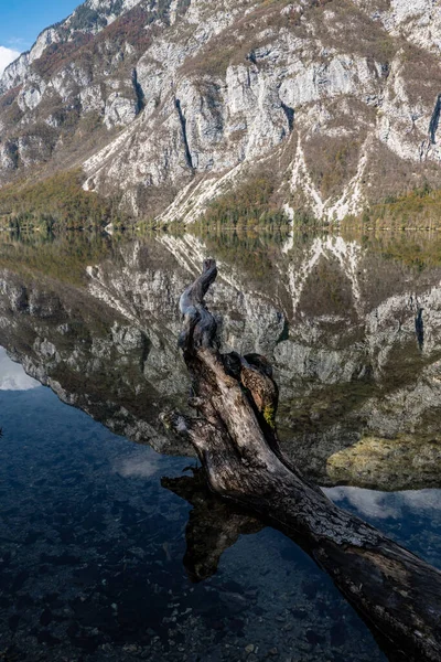 beautiful view of the lake in the mountains, Lake Bohinj, Slovenia
