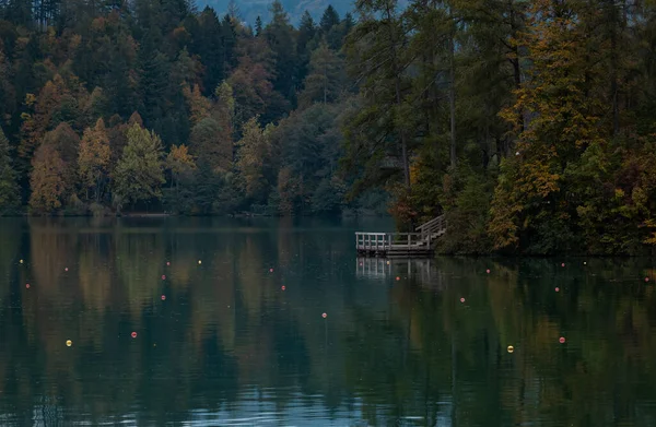 beautiful landscape with lake and trees, bled Slovenia