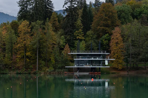 wooden pier in the mountains in fall in the forest, Slovenia, bled