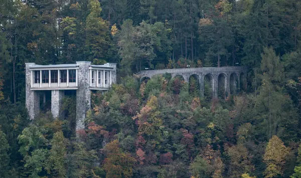 beautiful bridge in the forest, in the park, Bled Slovenia