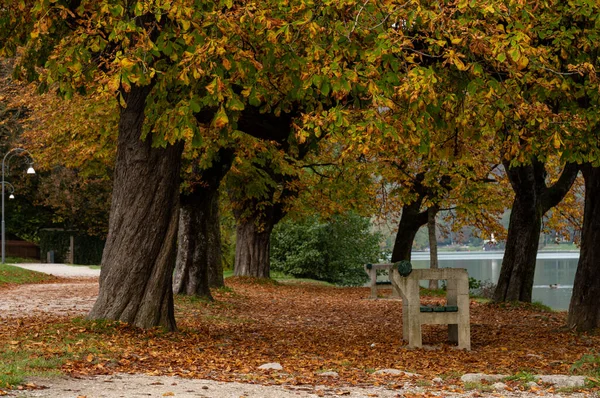 autumn park in the Lake Bled, Slovenia
