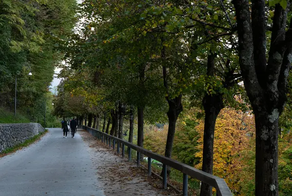 path in the park, in the city, Lake Bled, Slovenia