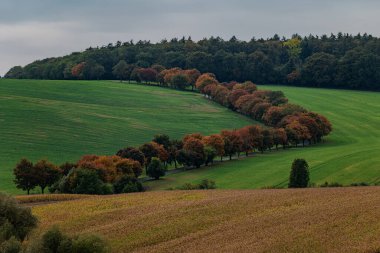 Cultivated fields in Czech Moravia, patterns and lines on the ground. Czech Tuscany