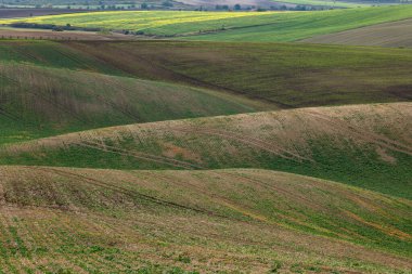 Cultivated fields in Czech Moravia, patterns and lines on the ground. Czech Tuscany
