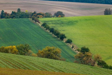 Cultivated fields in Czech Moravia, patterns and lines on the ground. Czech Tuscany
