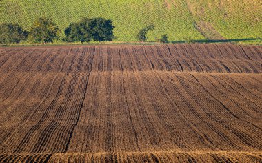Cultivated fields in Czech Moravia, patterns and lines on the ground. Czech Tuscany