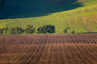 Cultivated fields in Czech Moravia, patterns and lines on the ground. Czech Tuscany