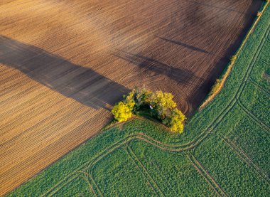 Autumn farmland and trees in Czech Moravia seen from above, patterns and lines on the ground, drone photography