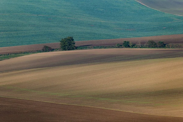 Cultivated fields in Czech Moravia, patterns and lines on the ground. Czech Tuscany