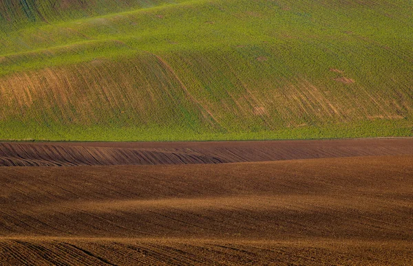 Cultivated fields in Czech Moravia, patterns and lines on the ground. Czech Tuscany