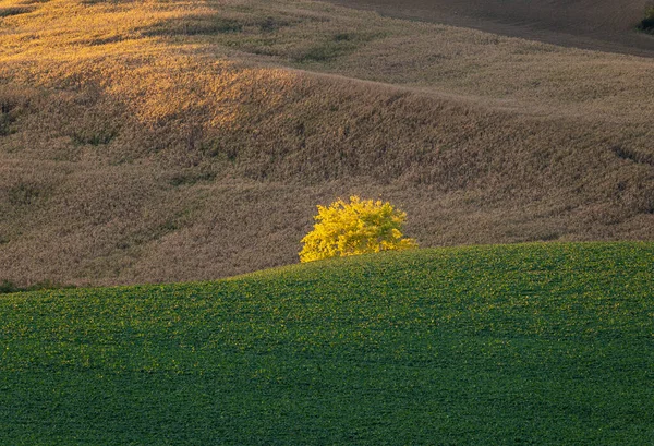 Autumn landscape in Czech Moravia, brownish-green colors of autumn in the cultivated fields