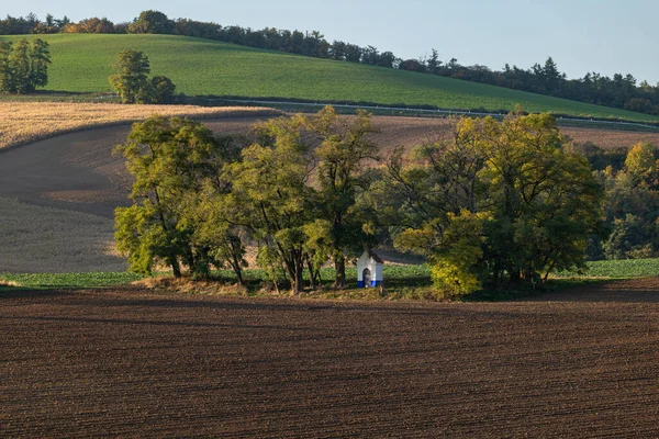 A white chapel in a small forest grove in Czech Moravia, autumn